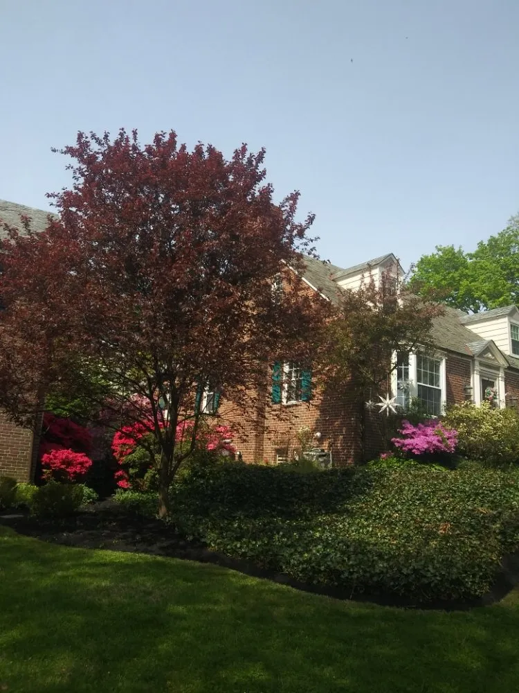 Affordable residential landscaping experts serving Baltimore, MD - R B Professional Landscaping