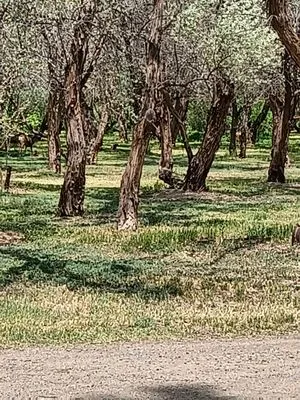 R Beautiful Landscaping