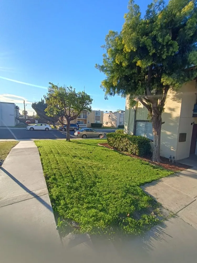 Top-rated landscape design for year-round maintenance in San Bernardino, CA by R Brothers Lawn Care