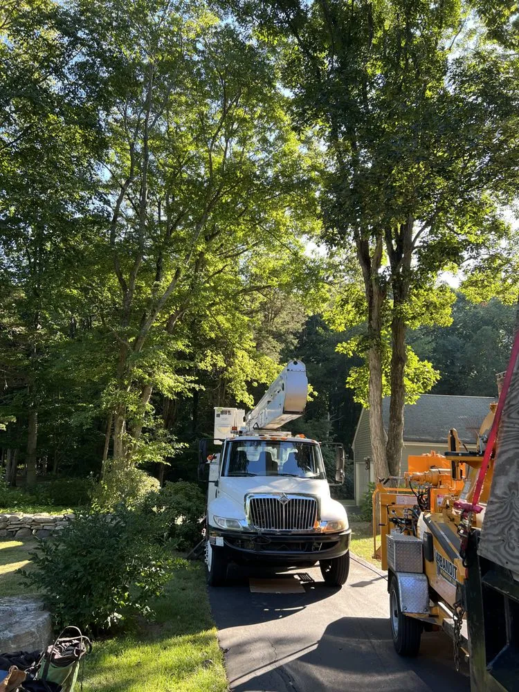 Local landscape installation experts serving Guilford, CT - R C Property Services
