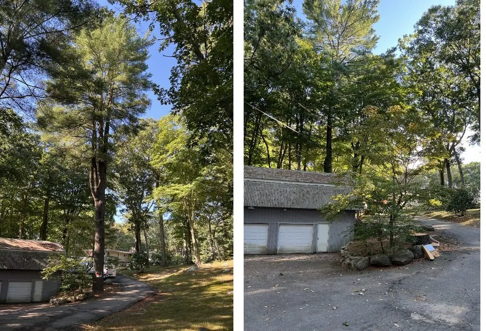 Expert lawn care service in Guilford, CT - R C Property Services