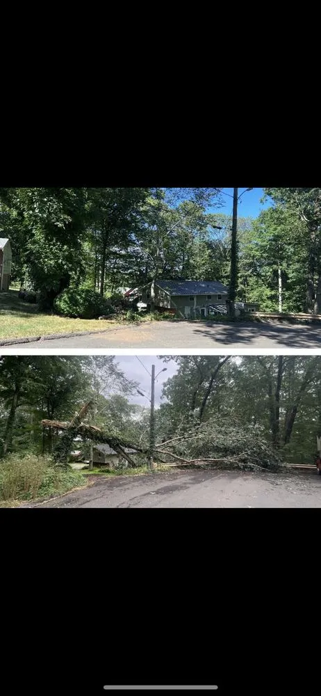 Trusted yard maintenance for homes across Guilford, CT - R C Property Services