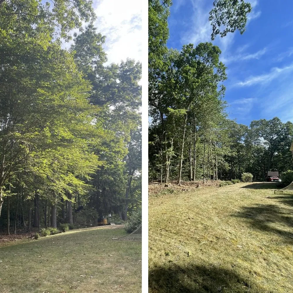 Expert yard cleanup service for beautiful yards across Guilford, CT - R C Property Services