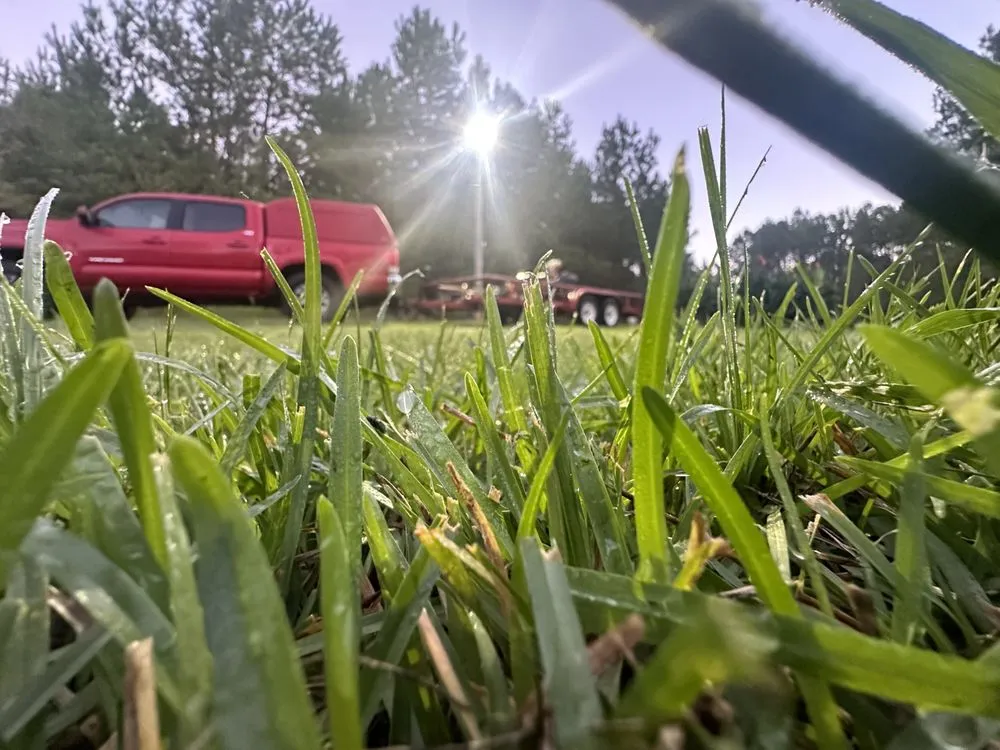 Local landscaping services in Albany, GA by R D Bradley Landscaping