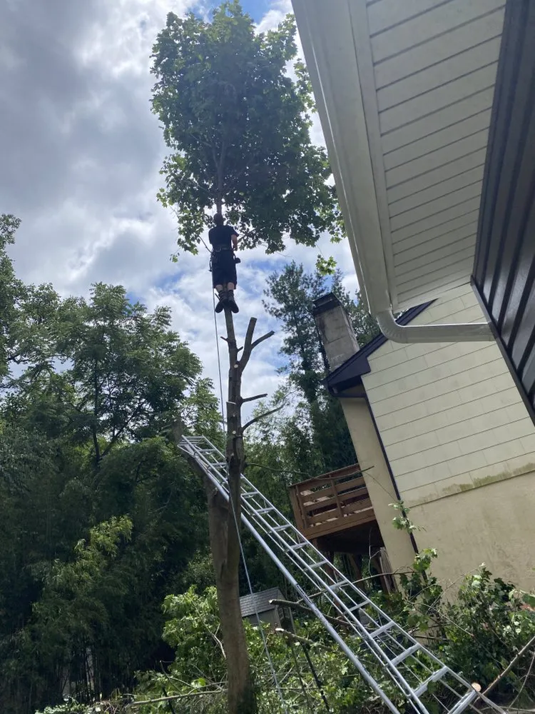 Reliable landscape design in La Vergne, TN by R D Landscaping and Design