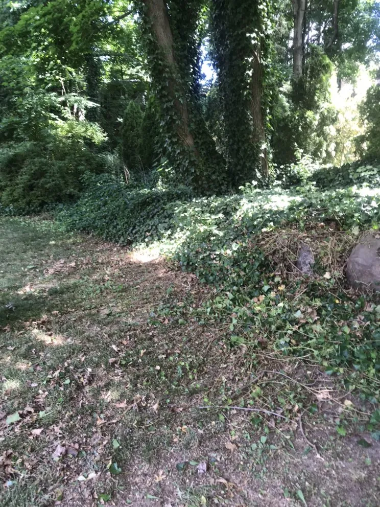 Trusted garden landscaping experts serving La Vergne, TN - R D Landscaping and Design