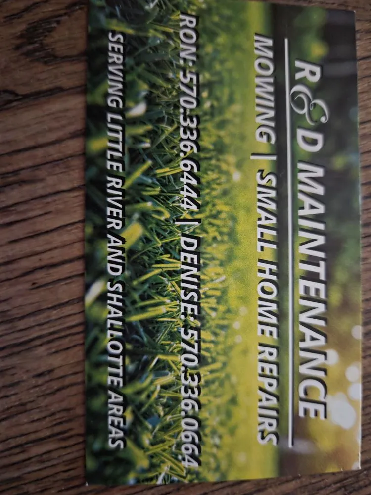 Professional yard cleanup service in Little River, SC - R &D Maintenance