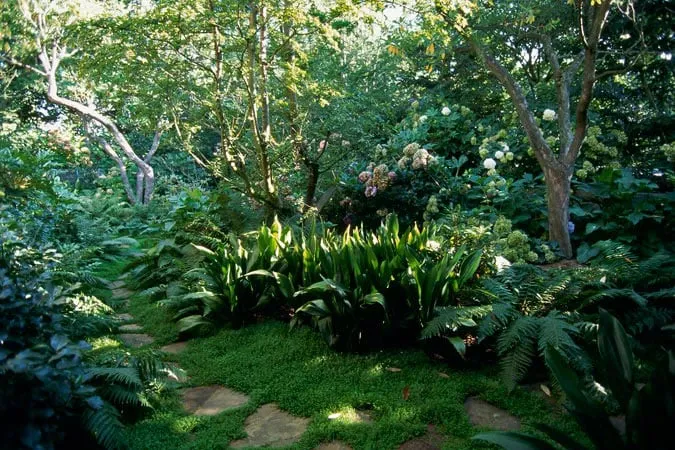 Professional garden landscaping near you in Shoreline, WA by R. David Adams Associates