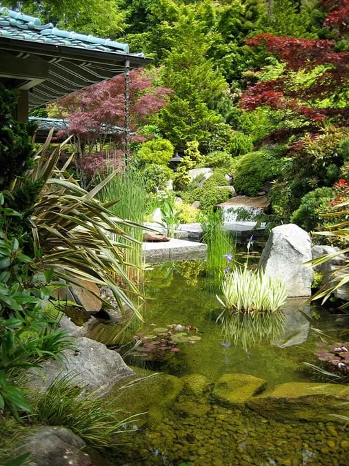 Reliable yard cleanup service for outdoor upgrades across Shoreline, WA - R. David Adams Associates