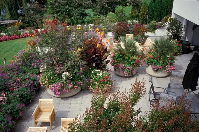 Affordable yard maintenance for beautiful yards in Shoreline, WA by R. David Adams Associates