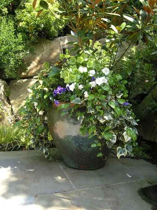 Affordable lawn mowing service with custom design across Shoreline, WA - R. David Adams Associates