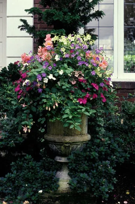 Professional lawn care service in Shoreline, WA by R. David Adams Associates