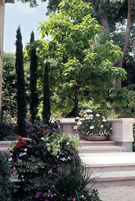 Top-rated yard cleanup service for beautiful yards in Shoreline, WA by R. David Adams Associates