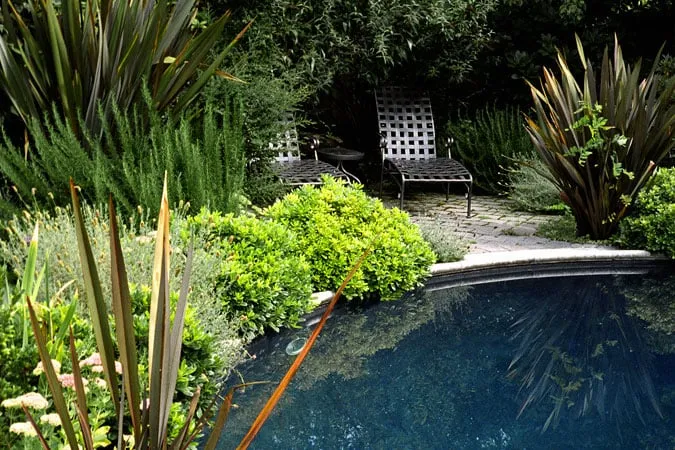 Trusted yard cleanup service for homes across Shoreline, WA - R. David Adams Associates