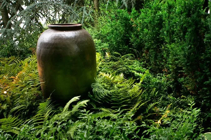 Custom yard cleanup service in Shoreline, WA by R. David Adams Associates