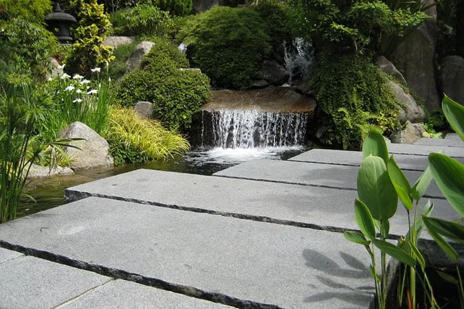 Local yard cleanup service in Shoreline, WA by R. David Adams Associates