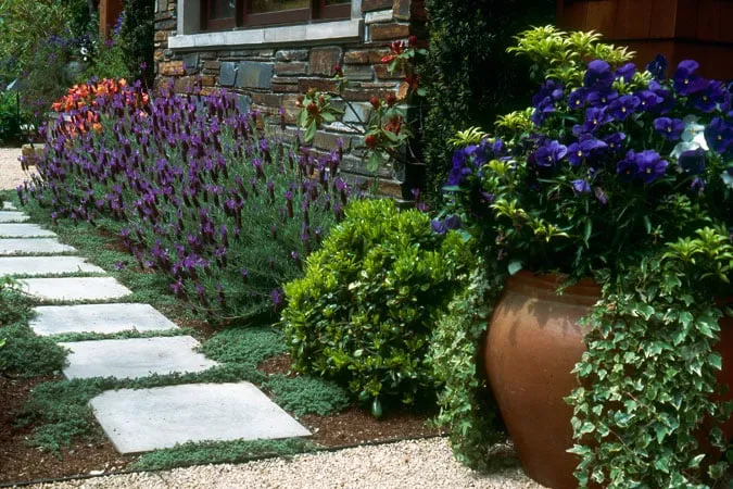 Local garden landscaping experts serving Shoreline, WA - R. David Adams Associates