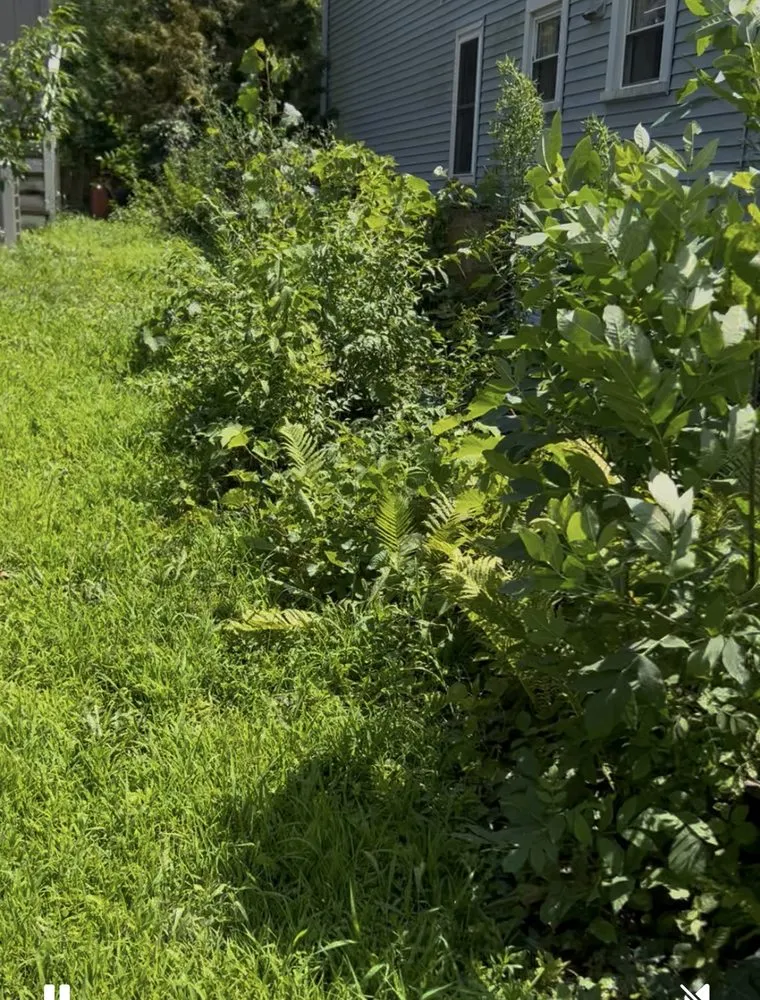 Expert landscaping services experts serving Wauconda, IL - R. Duran's Landscaping