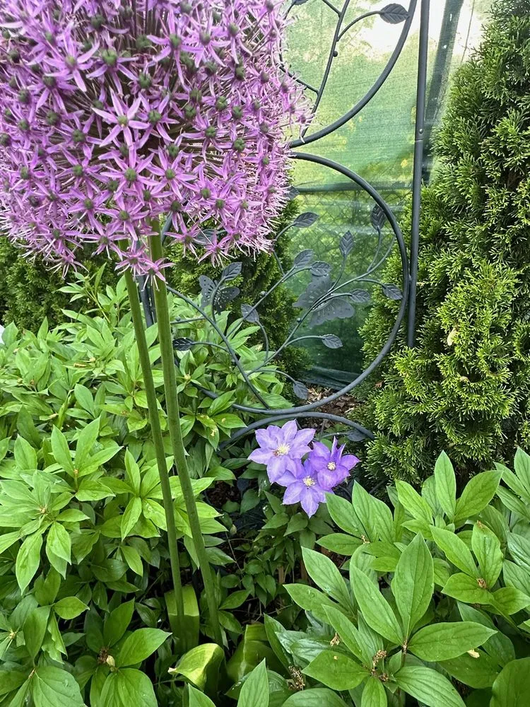 Trusted landscape installation for residential properties in Wauconda, IL by R. Duran's Landscaping