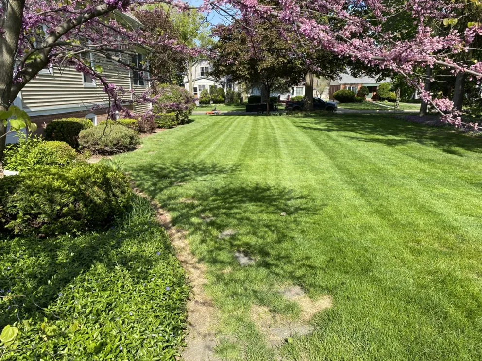 Affordable lawn care service in West Chicago, IL by R E Landscaping & Construction