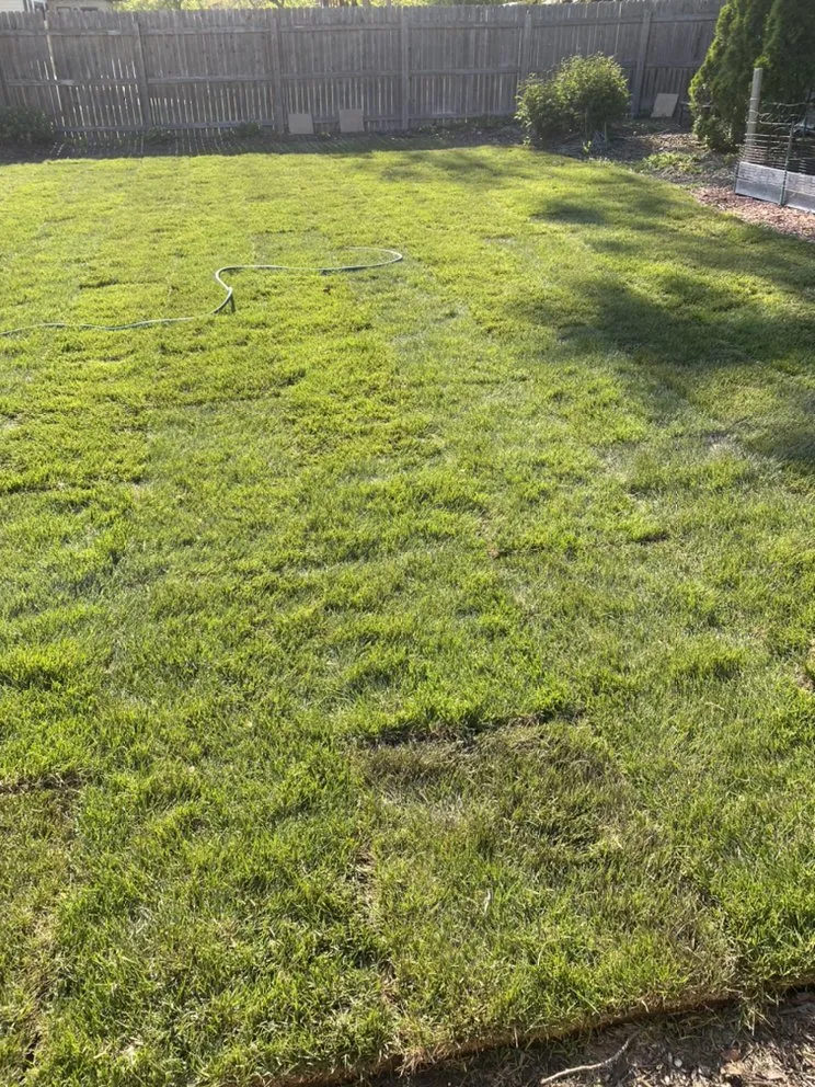Local lawn mowing service in West Chicago, IL by R E Landscaping & Construction