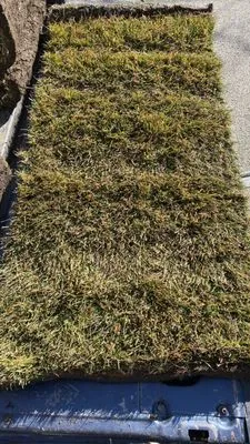 R E Landscaping & Construction Logo