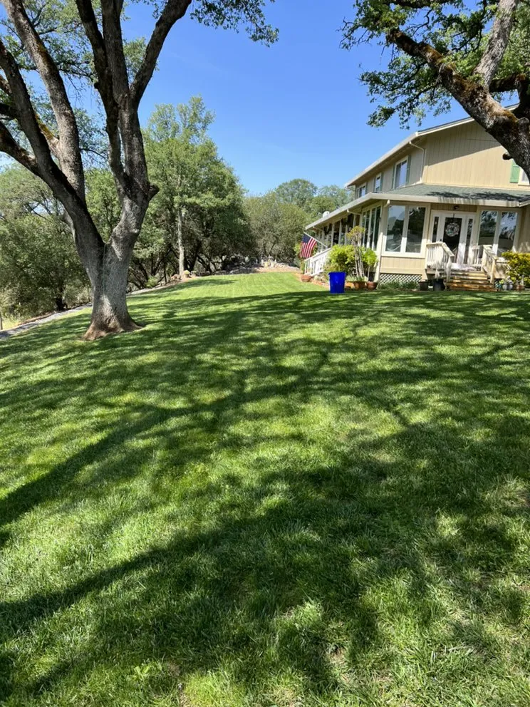Local yard maintenance in Sonora, CA - R E Precision Lawncare