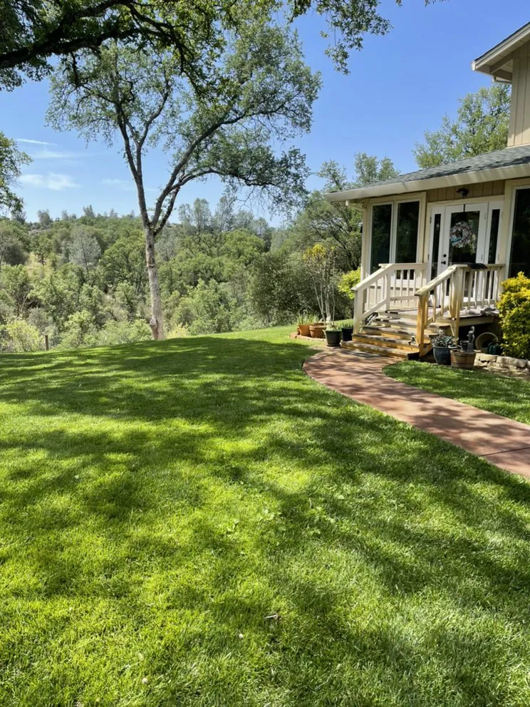 Affordable landscape installation experts serving Sonora, CA - R E Precision Lawncare