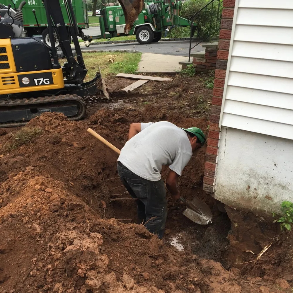 Expert lawn care service near you in Scotch Plains, NJ by R F Landscape Construction