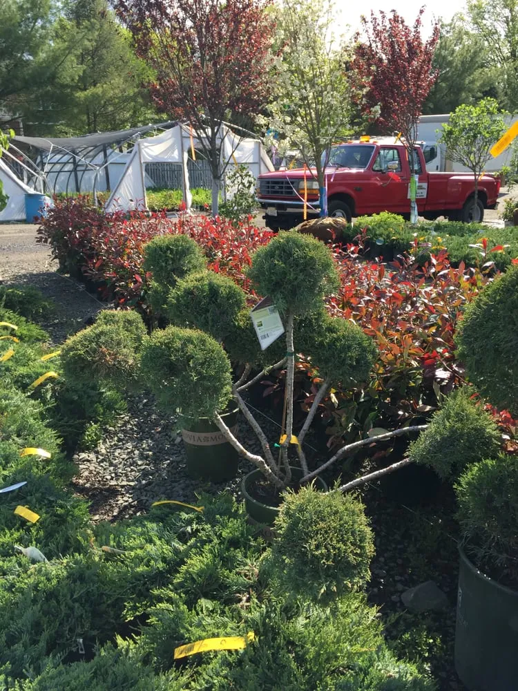 Expert yard cleanup service near you in Scotch Plains, NJ by R F Landscape Construction
