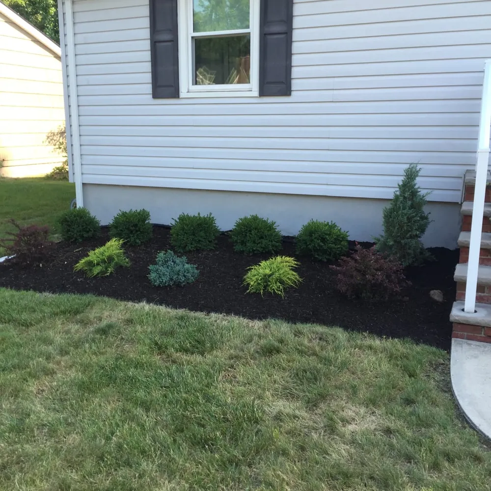 Expert lawn care service in Scotch Plains, NJ by R F Landscape Construction