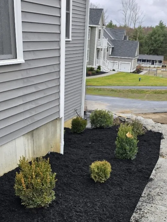 Expert yard cleanup service near you in North Brookfield, MA by R Faith Enterprises