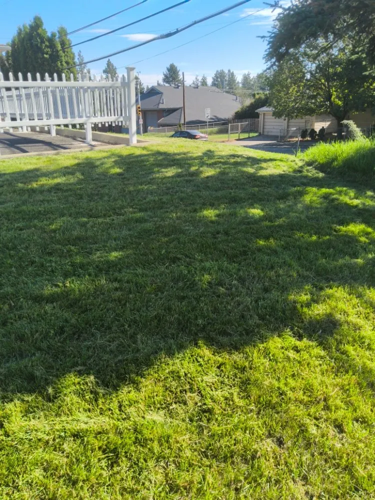 Top-rated outdoor landscaping for outdoor upgrades across Cheney, WA - R Fleck Mowing
