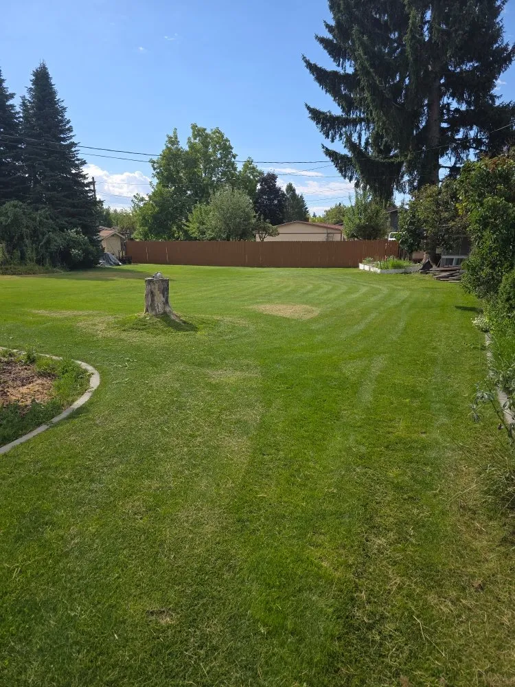 Custom yard maintenance experts serving Cheney, WA - R Fleck Mowing