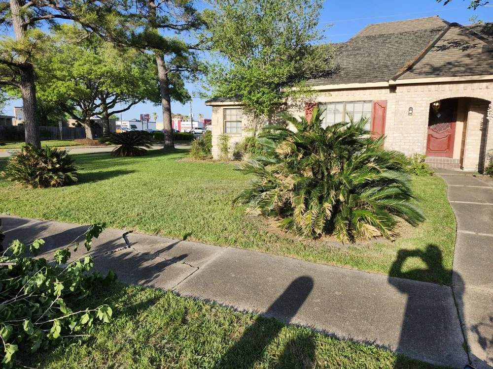 Expert landscape installation experts serving Houston, TX - R Flemings Landscaping