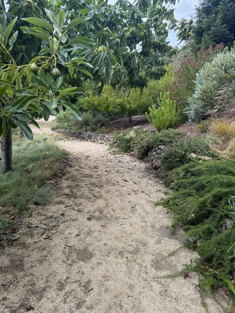 Reliable yard maintenance in Watsonville, CA - R G Landscaping