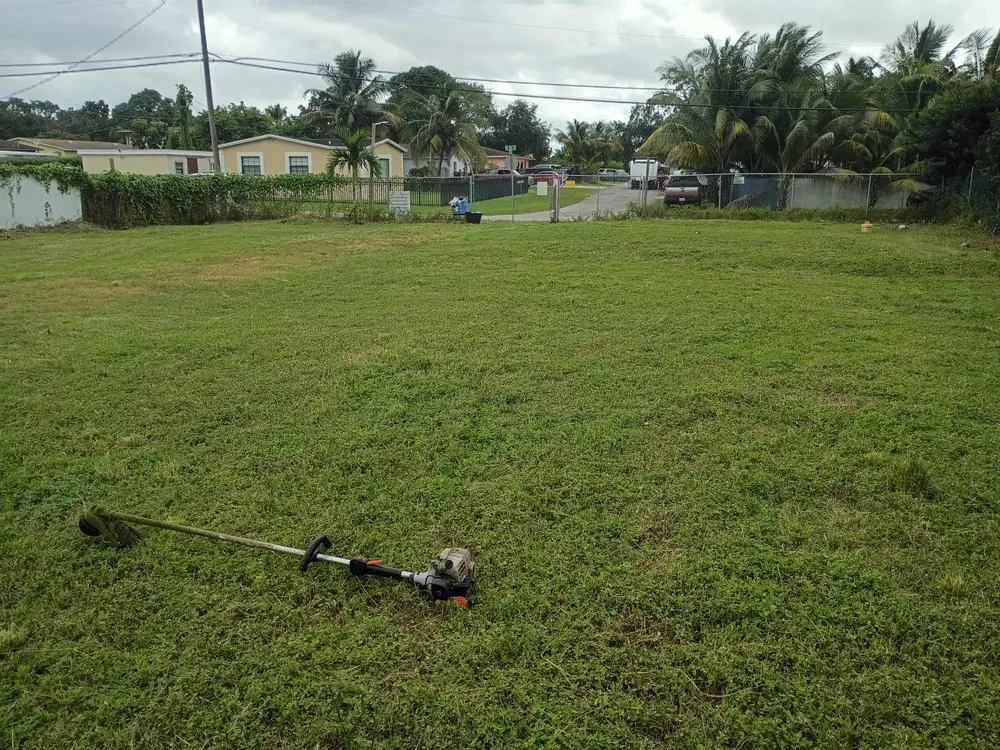 Custom residential landscaping experts serving Miami Shores, FL - R Grass Greener