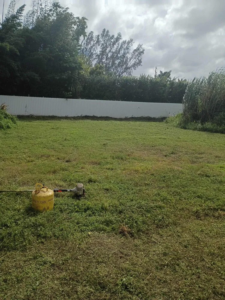 Reliable garden landscaping in Miami Shores, FL by R Grass Greener