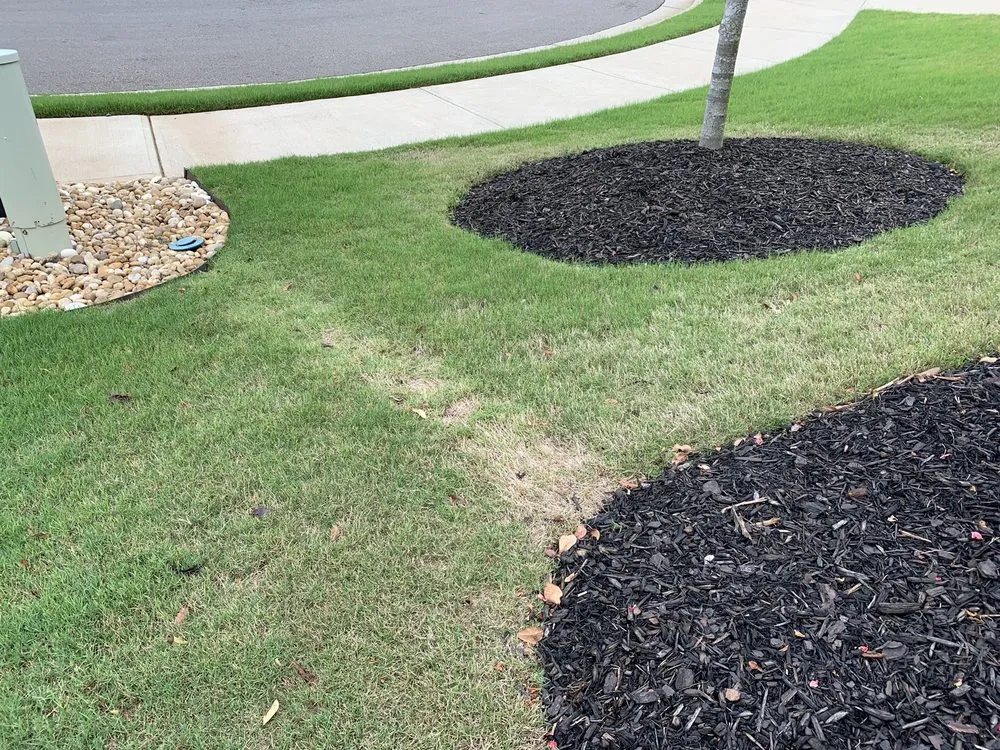 Trusted yard cleanup service for year-round maintenance in Waleska, GA by R Grassing Company