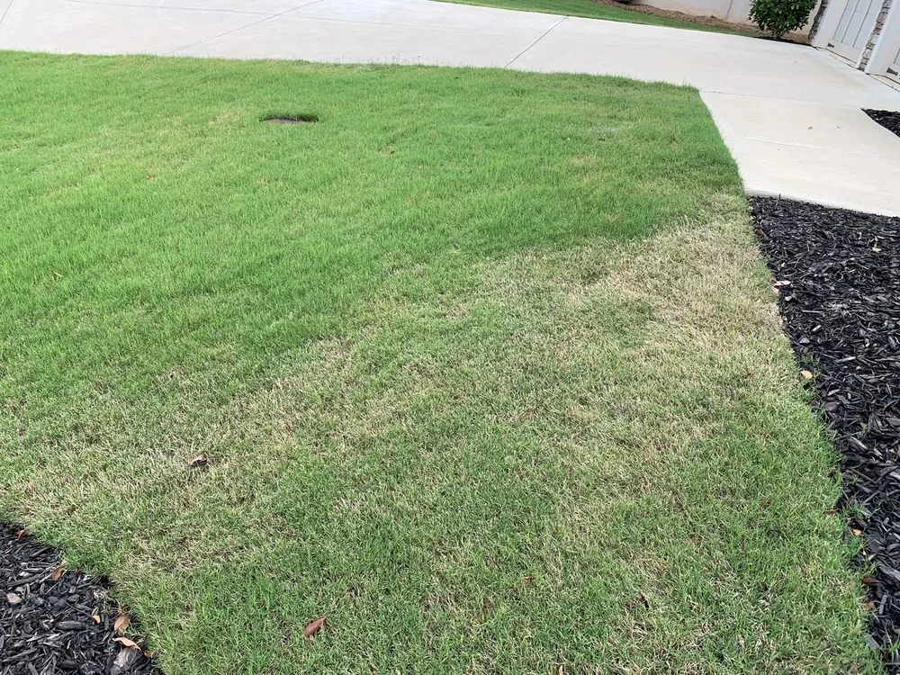 Professional residential landscaping experts serving Waleska, GA - R Grassing Company