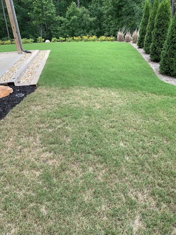 Local yard cleanup service for year-round maintenance in Waleska, GA by R Grassing Company