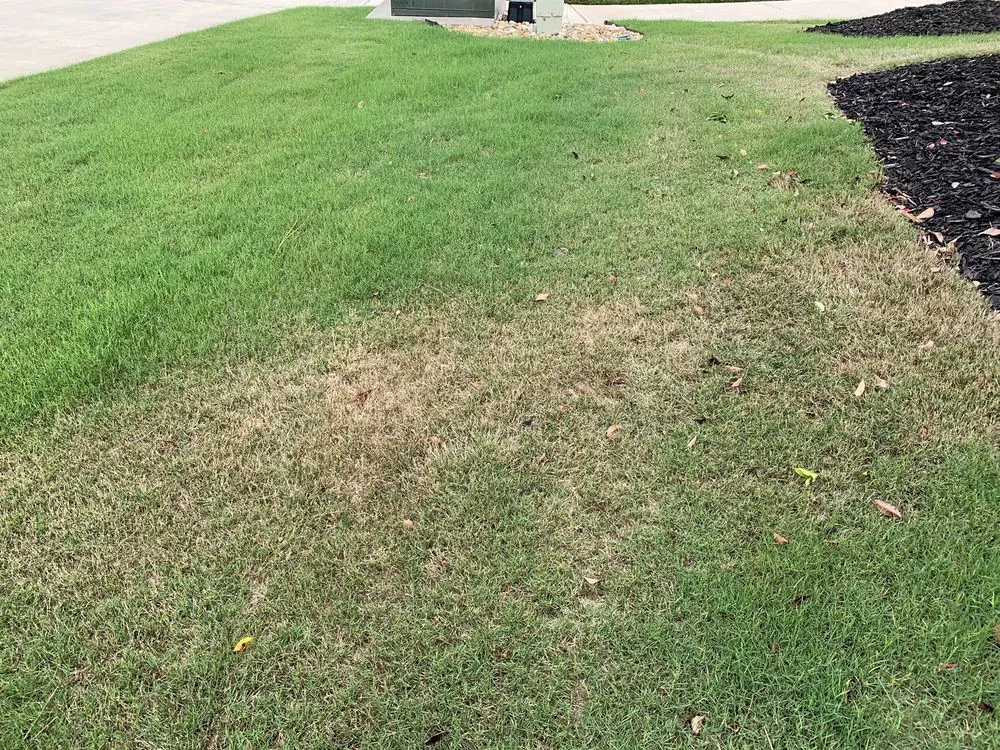 Affordable lawn mowing service in Waleska, GA - R Grassing Company