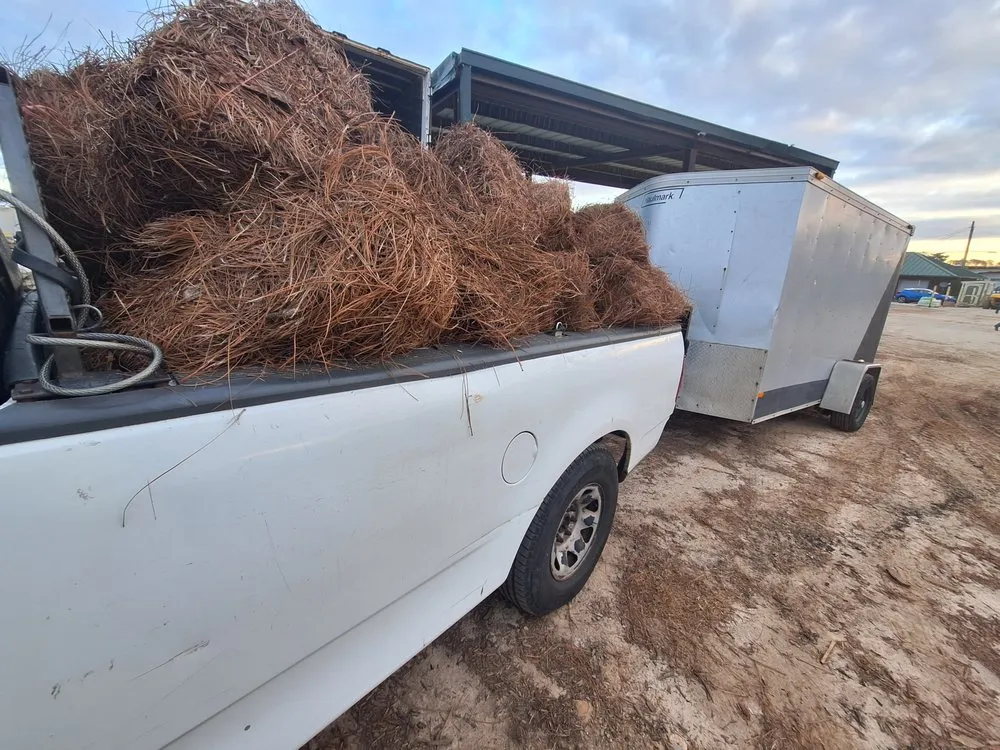 Local yard maintenance in East Point, GA by R Hicks Gardening Solutions