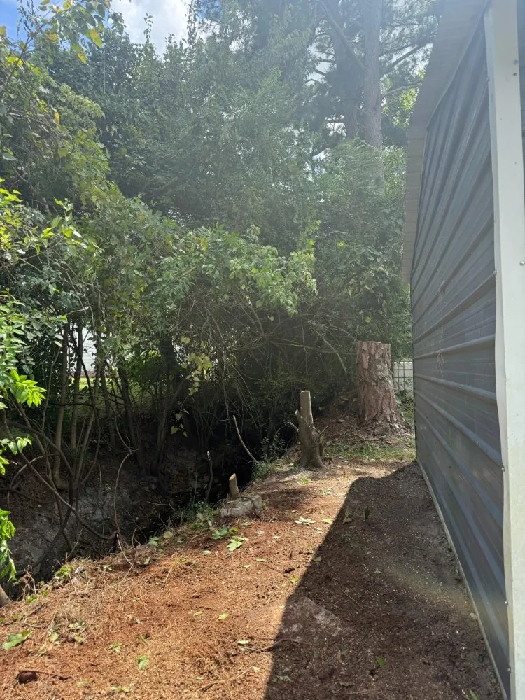 Professional landscape design experts serving Greenville, NC - R J Landscaping Solutions