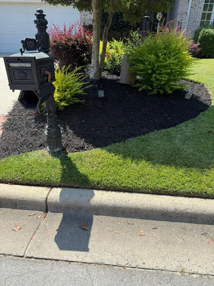 Local outdoor landscaping experts serving Greenville, NC - R J Landscaping Solutions