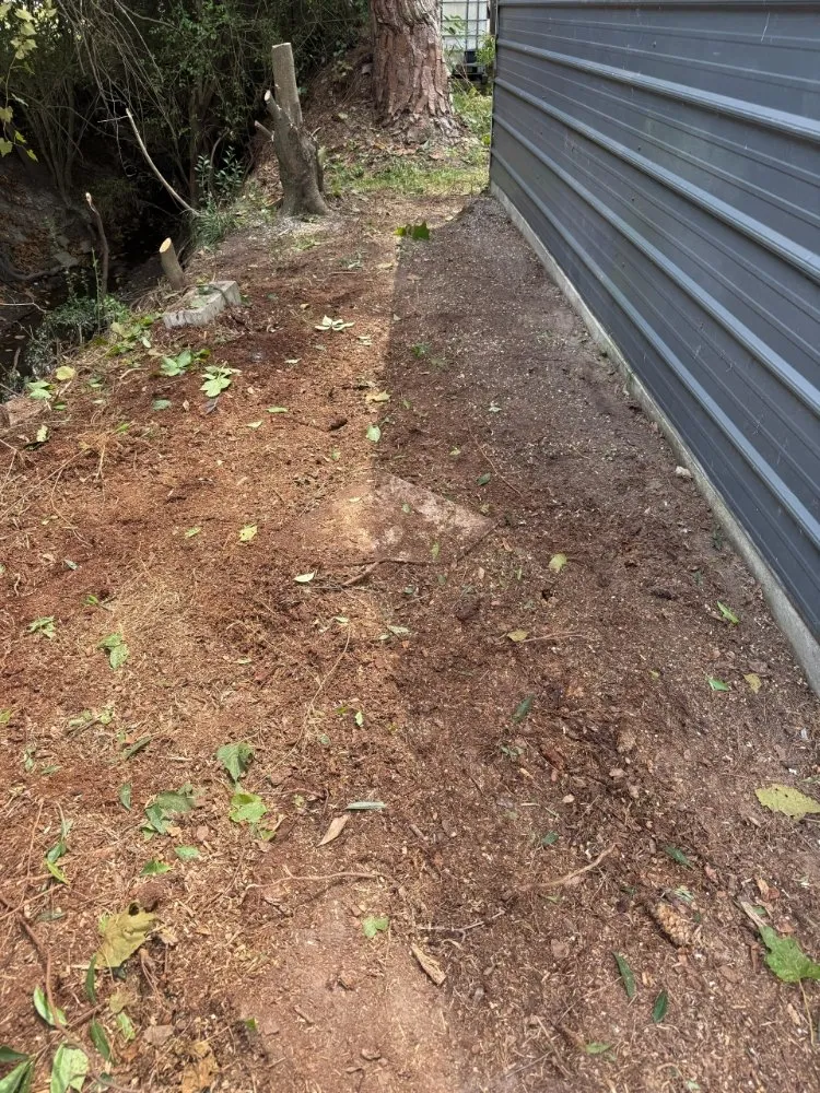 Reliable garden landscaping for year-round maintenance in Greenville, NC by R J Landscaping Solutions