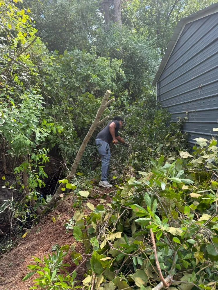 Professional outdoor landscaping in Greenville, NC - R J Landscaping Solutions