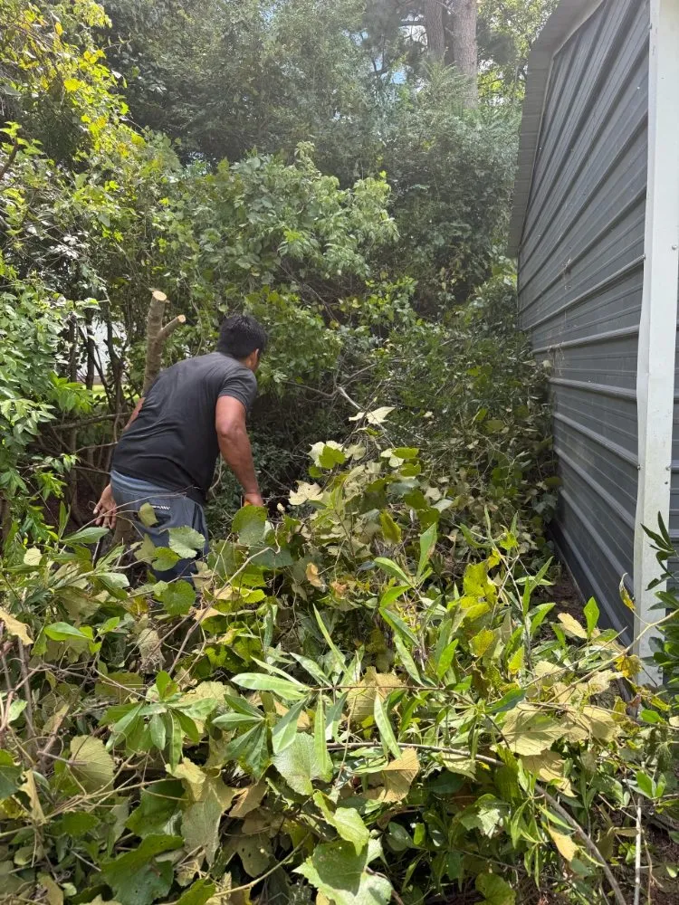 Reliable lawn care service experts serving Greenville, NC - R J Landscaping Solutions