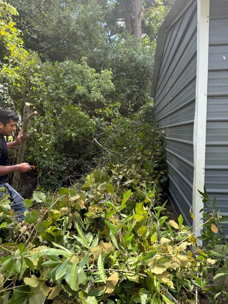 Affordable lawn mowing service for outdoor upgrades in Greenville, NC by R J Landscaping Solutions