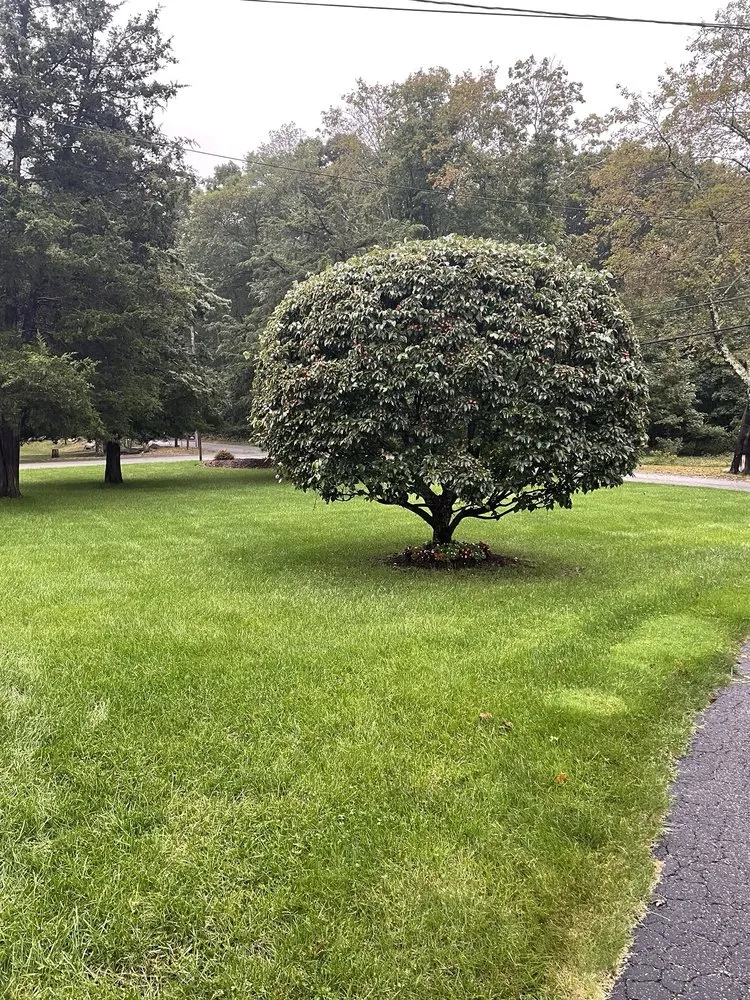 Professional lawn mowing service in North Scituate, RI - R. J. Lawncare